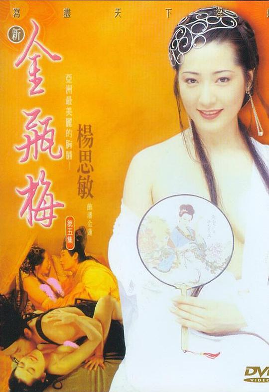 新金瓶梅第五卷(全集)
